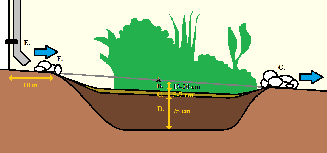 A stagnant compost bin filled with dry, recognizable kitchen scraps and intact leaves