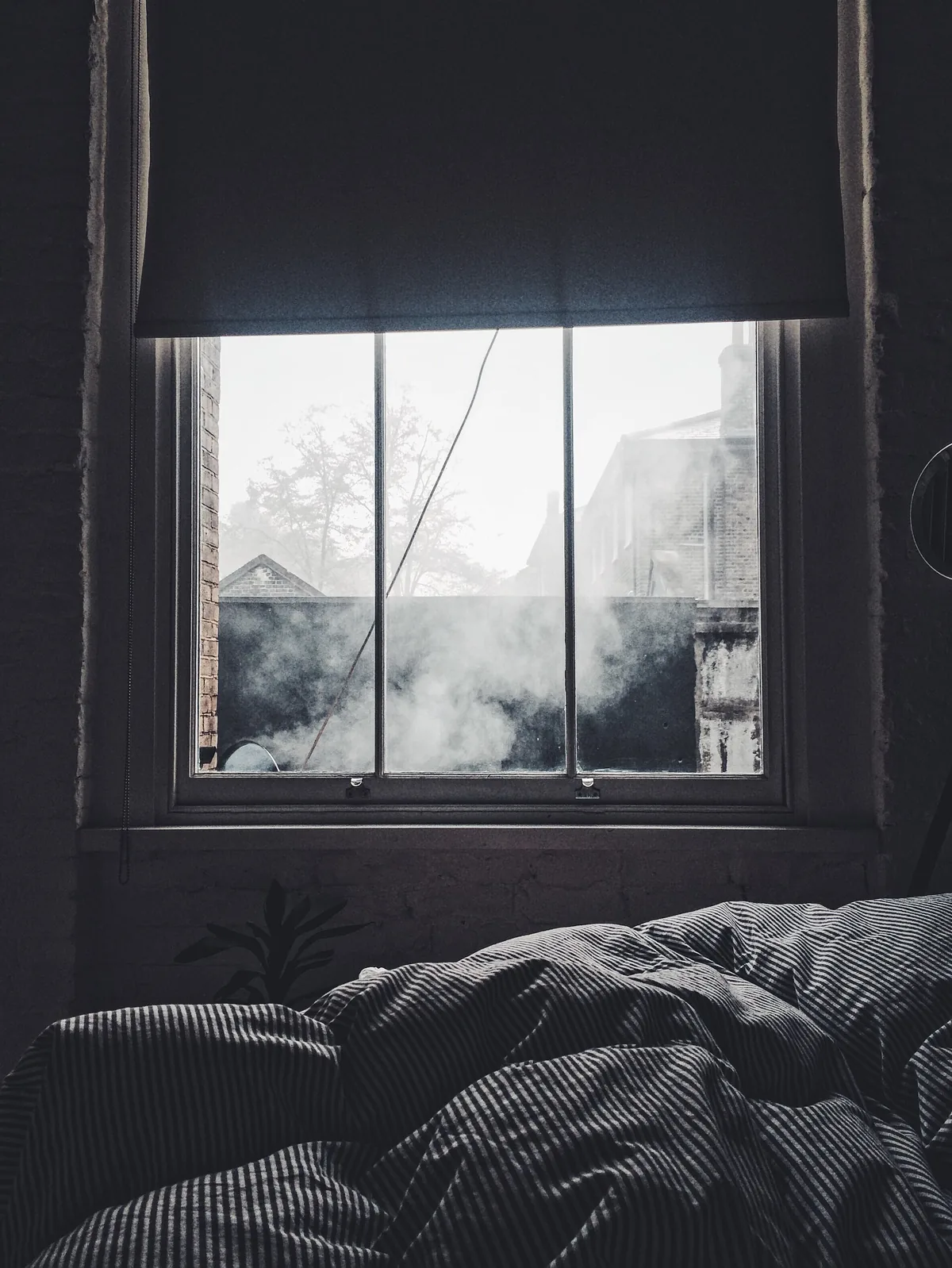 Bedroom interior showing a window, closet door, and houseplants on a dresser