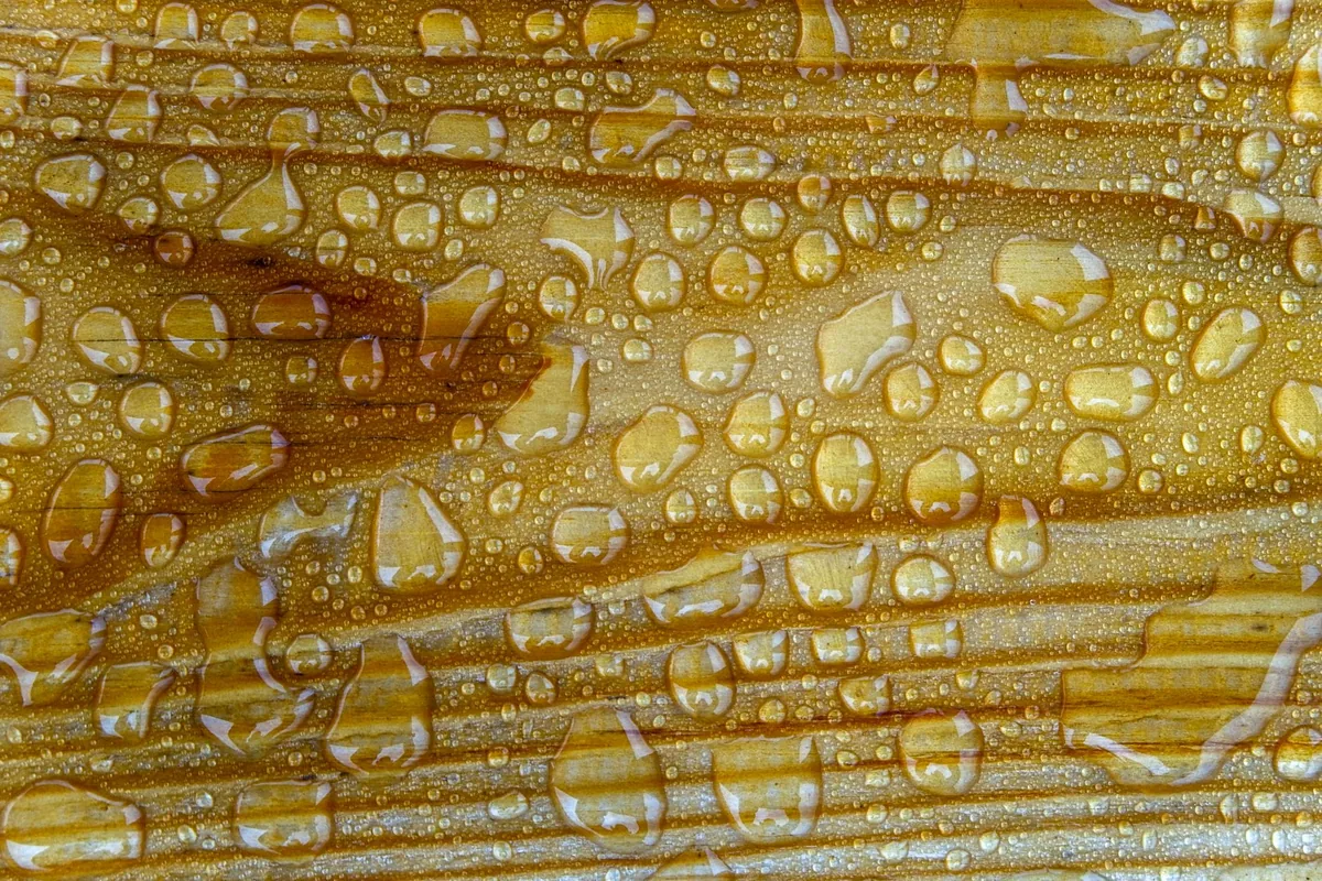 Detailed photo of water droplets on a wooden surface enhancing texture and pattern.