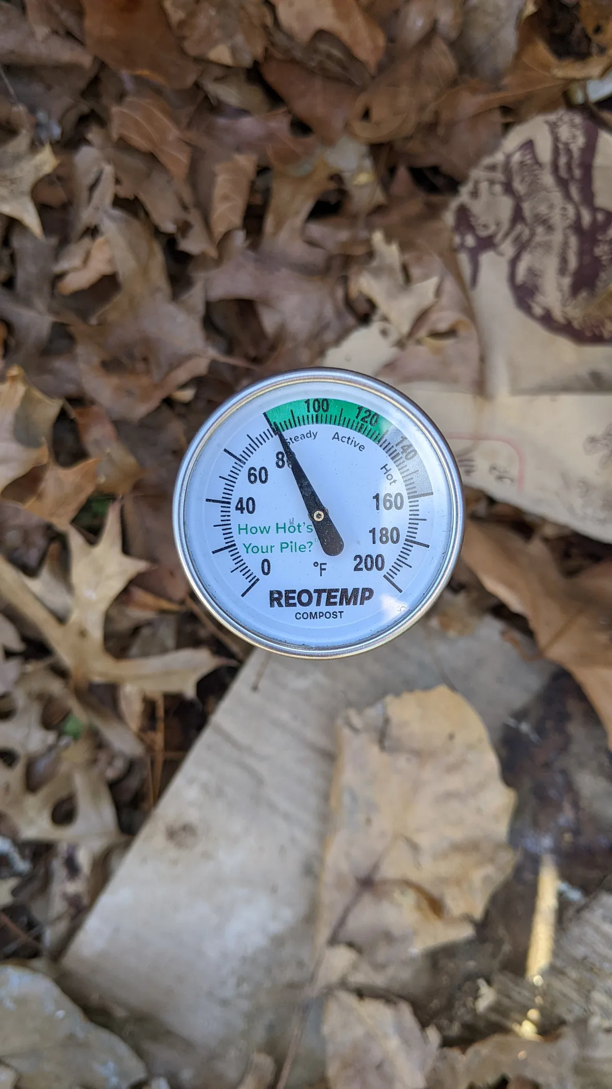 Hand holding a compost thermometer showing a low temperature reading in the center of a pile