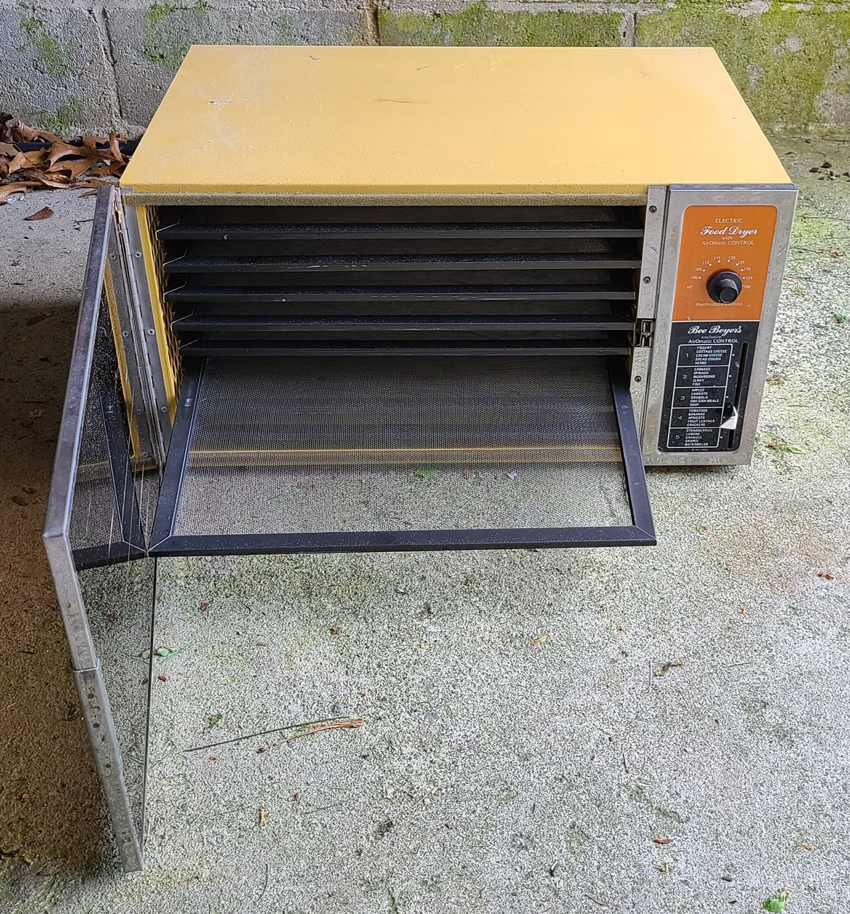Open dryer door showing damp towels after a full cycle